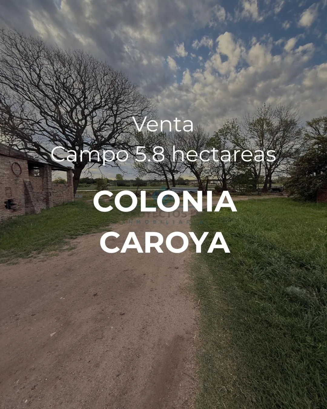 VENTA – CAMPO / LOTE DE 5.83 HECTÁREAS – COLONIA CAROYA