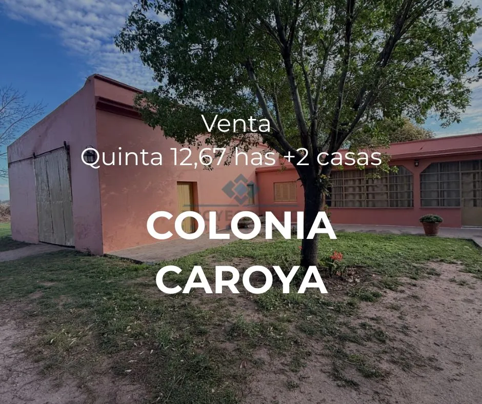 VENTA – 2 CASAS QUINTA- 12,67 HECTÁREAS – COLONIA CAROYA