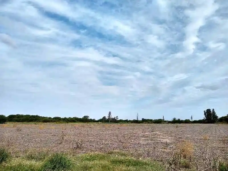 VENTA- 17.7 HECTAREAS- COLONIA CAROYA