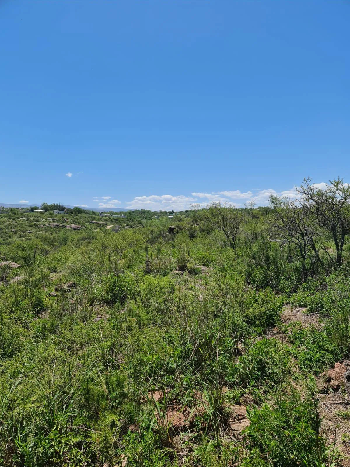 MIRADOR DEL LAGO . BIALET MASSE . CORDOBA.