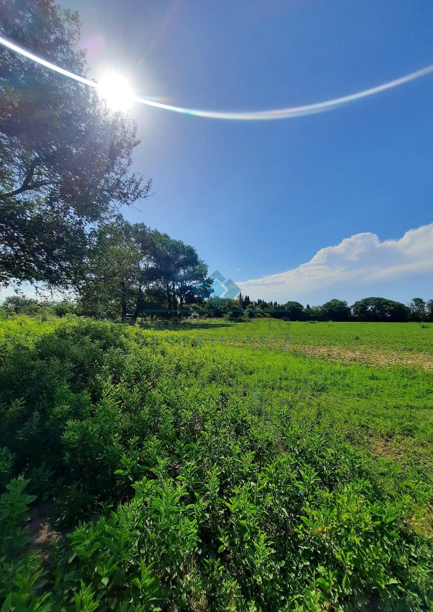 VENTA-QUINTA DE 11 HAS CON RIEGO Y CASA 3 DORM- PUESTO VIEJO