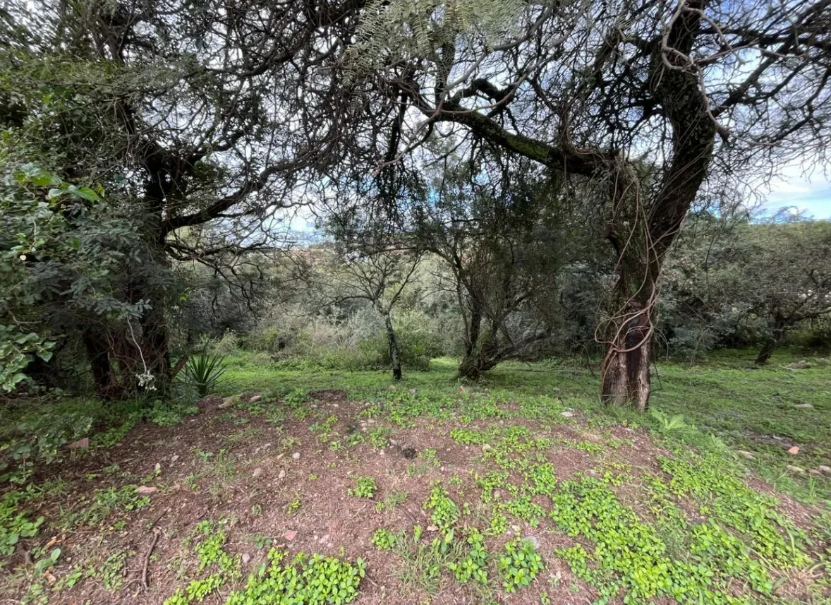 ¡Venta! Lote en Cinco Lomas ¡Pendiente Positiva! ¡Con escritura!
