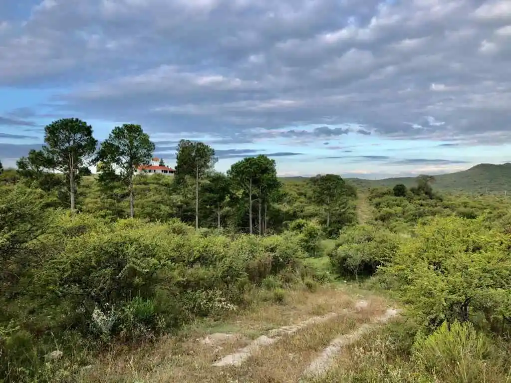 VENTA CAMPO 4,8 HECTÁREAS VILLA DEL DIQUE