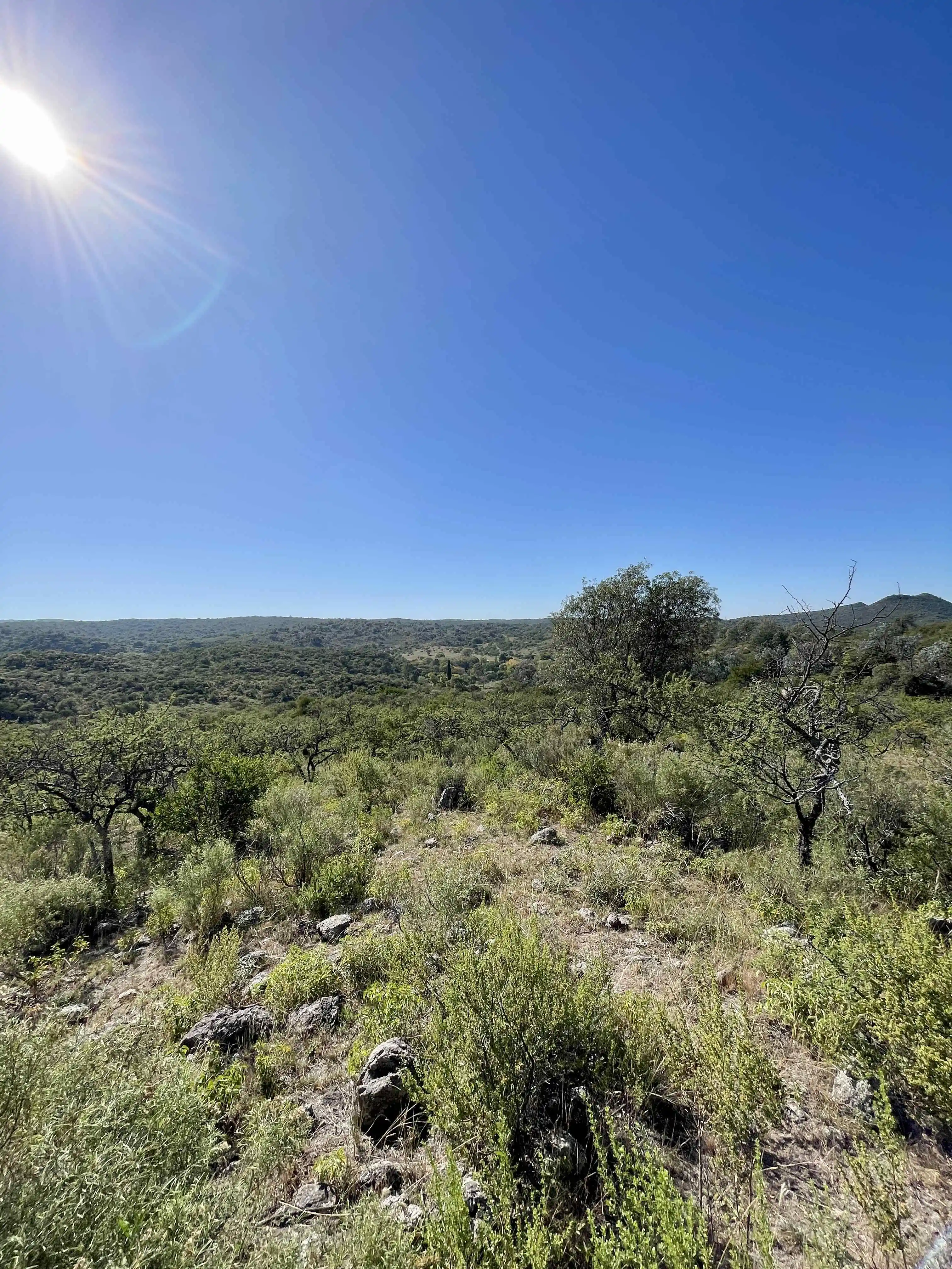 En Venta Chacra 4,8Ha Villa Del Dique