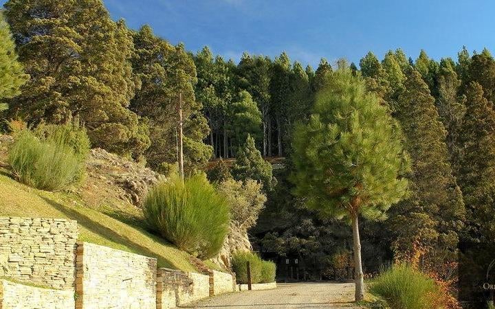Terreno · 2064m²