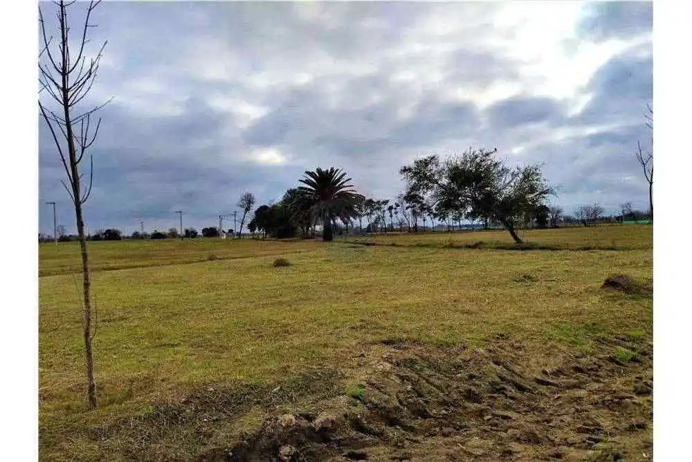 VENTA LOTES APTO LOTEO CON FINANCIACION - TERRANOSTRA