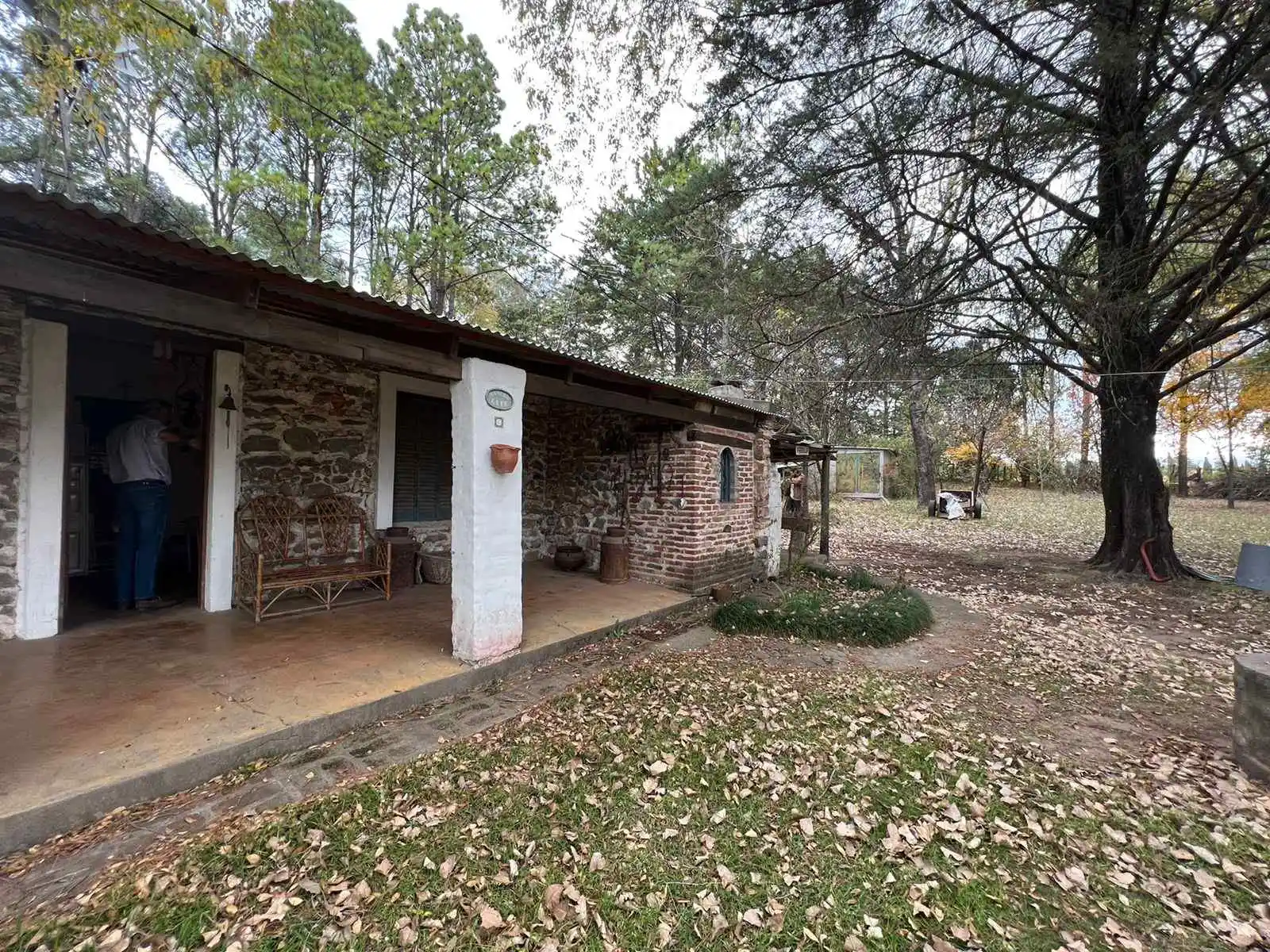 Los Reartes, campo en Venta