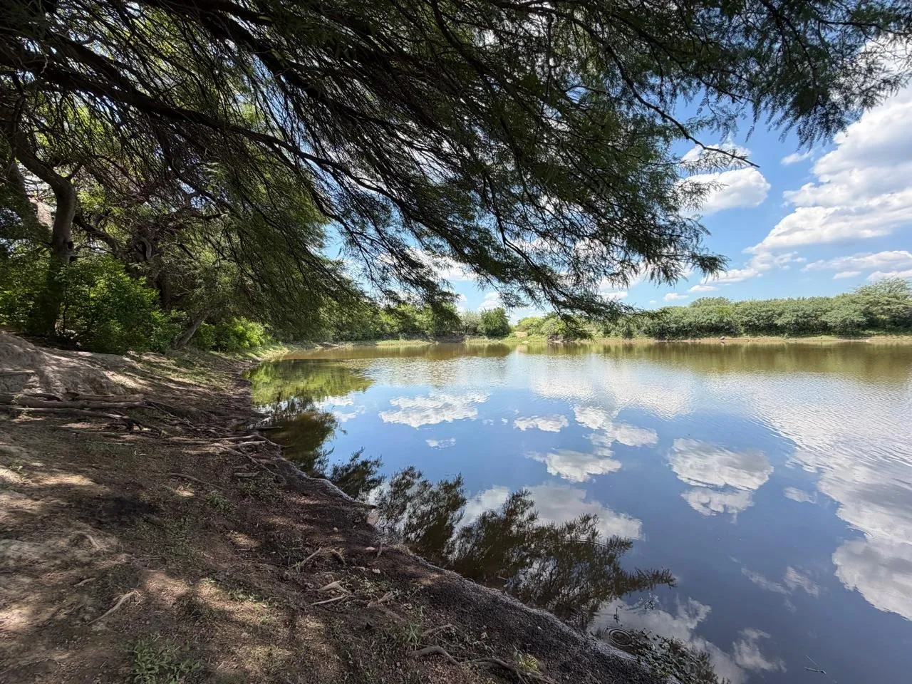Campo ganadero en Ojo de Agua, Santiago del estero!!