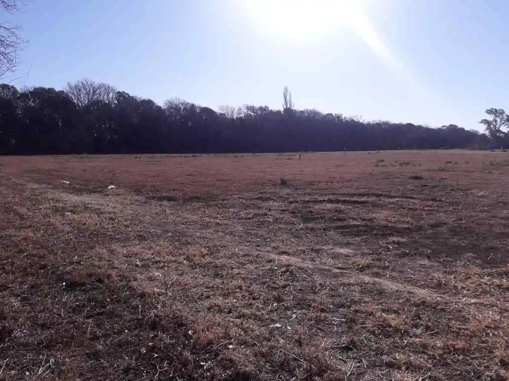 ESTABLECIMIENTO LA CORINA - LOTE EN VENTA