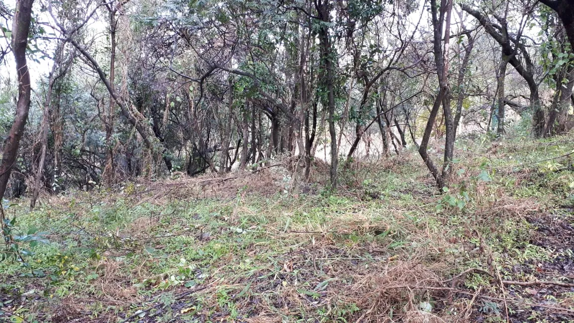 Terreno 943 mtrs - Escritura Inmediata - Sierra Nueva - Mendiolaza