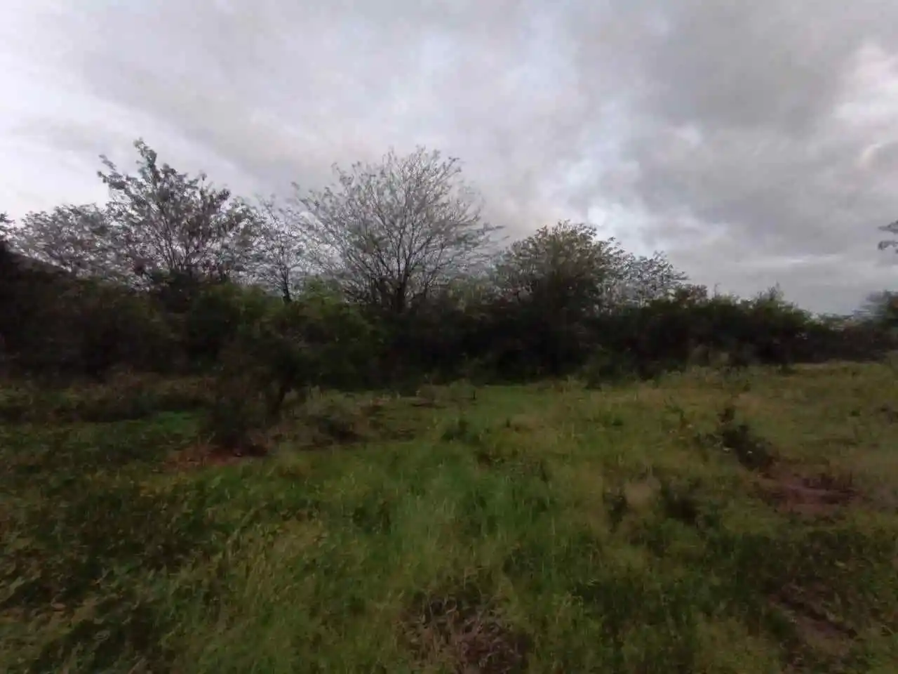 LOTE EN VILLA GENERAL BELGRANO
