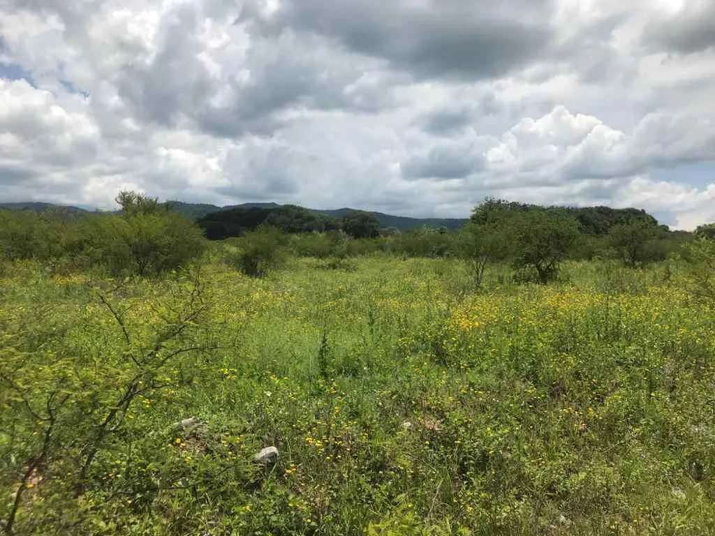 TERRENOS EN VENTA - LA CALDERA - SALTA- 4 HECTAREAS