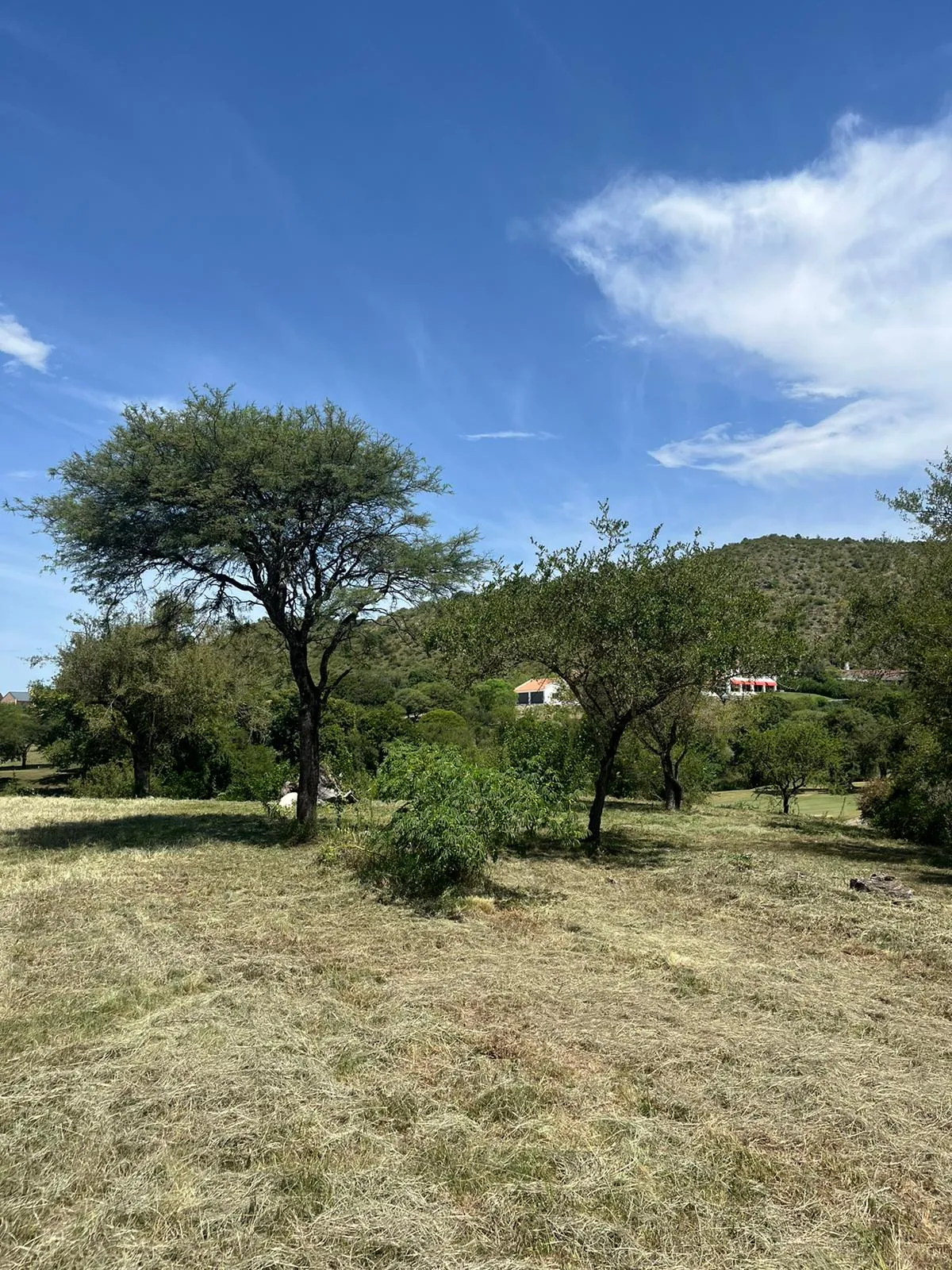 Venta! Lote en Potrerillo de Larreta - ¡Con Escritura!