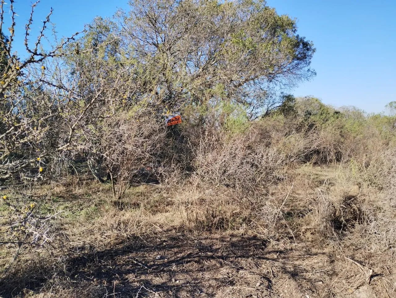 Lote de Terreno en Flor Serrana Tanti