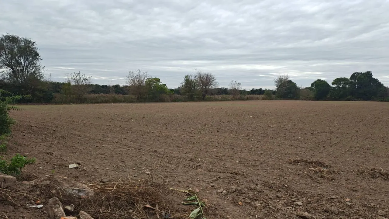CAMPO EN VENTA CAMINO SAN CARLOS