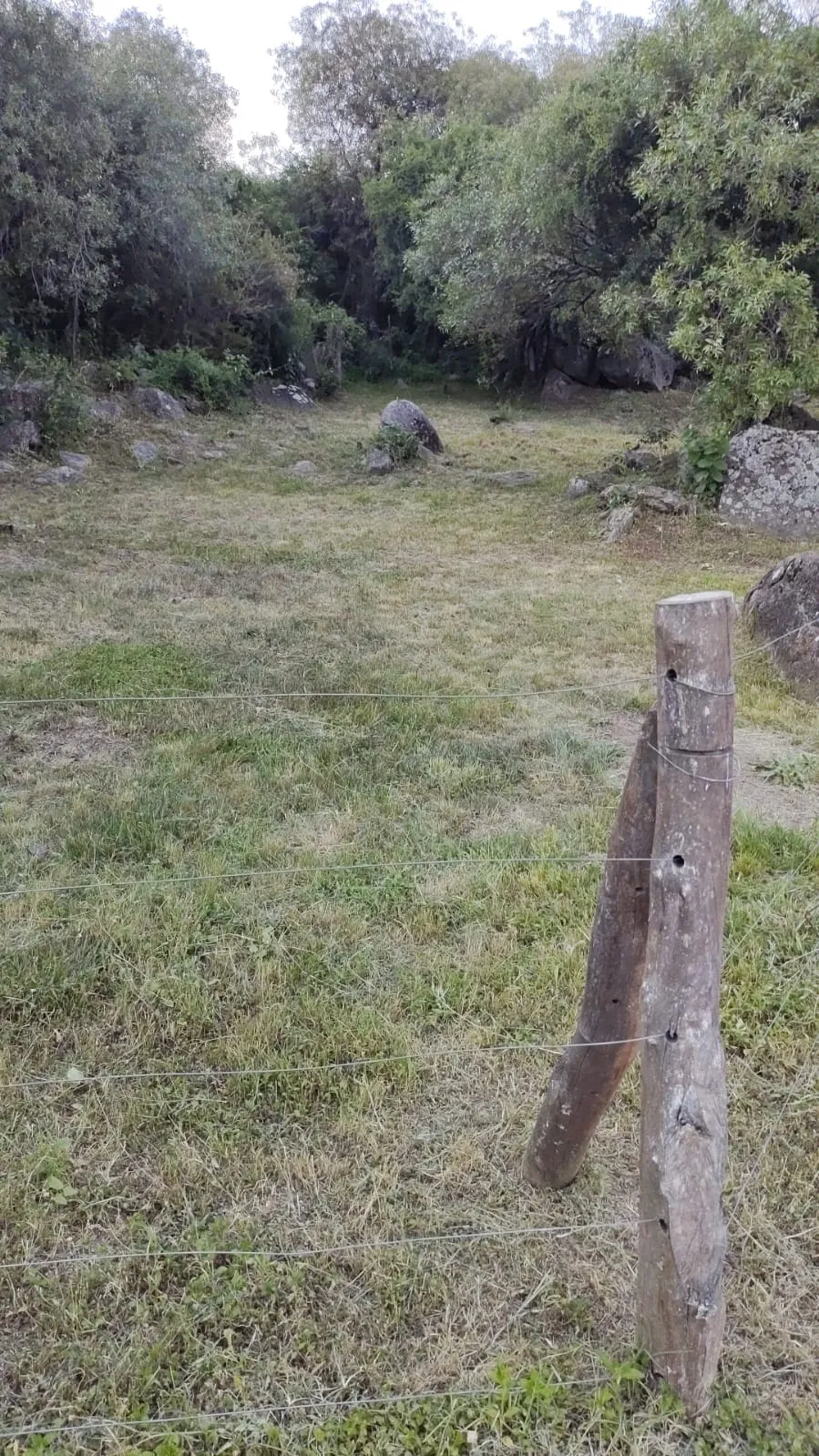 LOTE EN PRADO DE LA RIVERA (AGUA DE ORO)