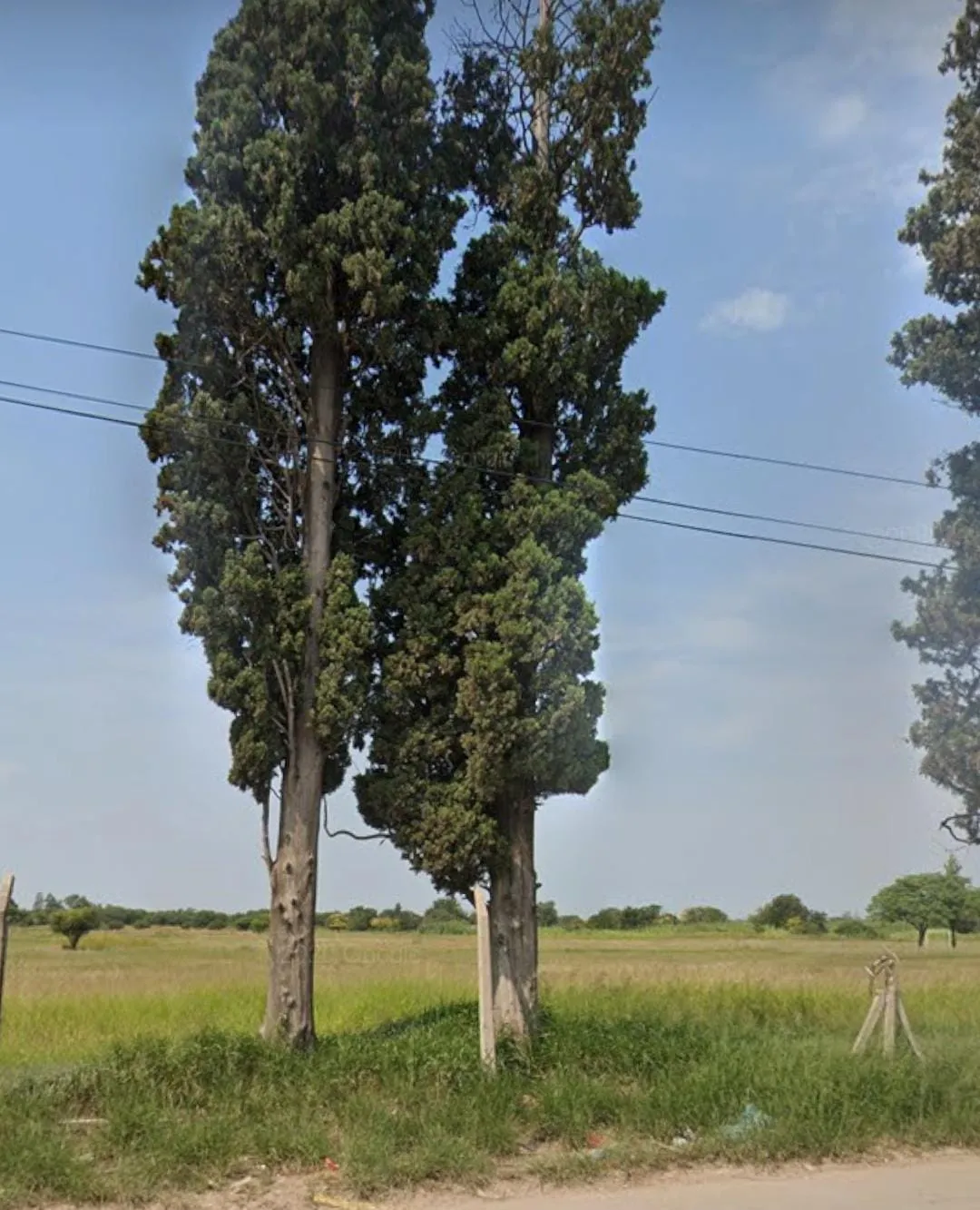 Terreno en Venta - Av Rancagua Parque Liceo sup 14300 m2