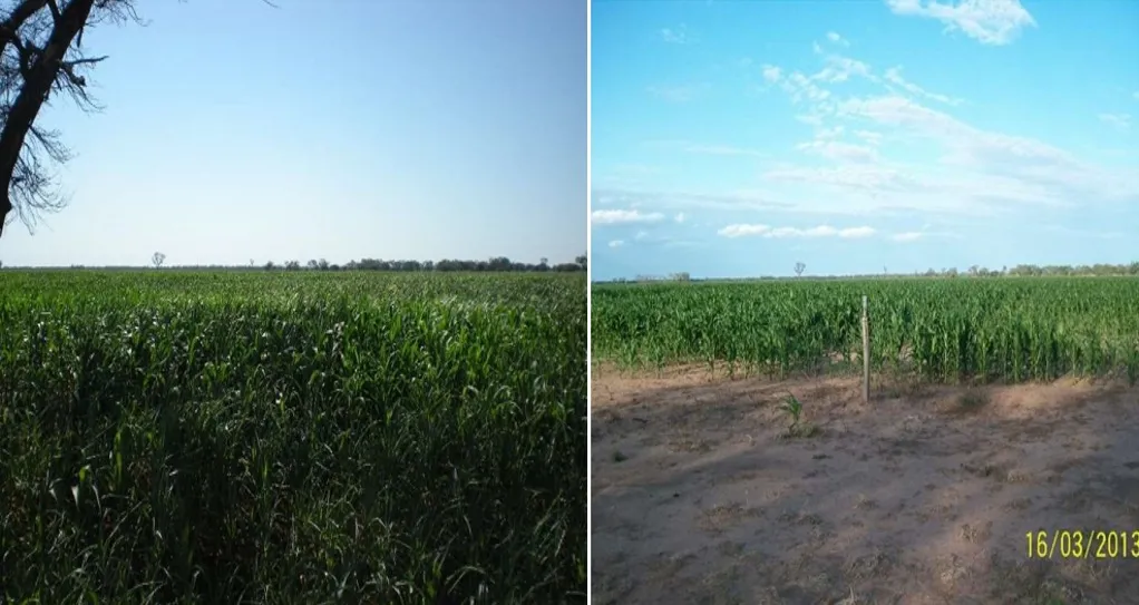 CAMPO EN VENTA - SANTIAGO DEL ESTERO - AGRÍCOLA GANADERO - 2350 HAS