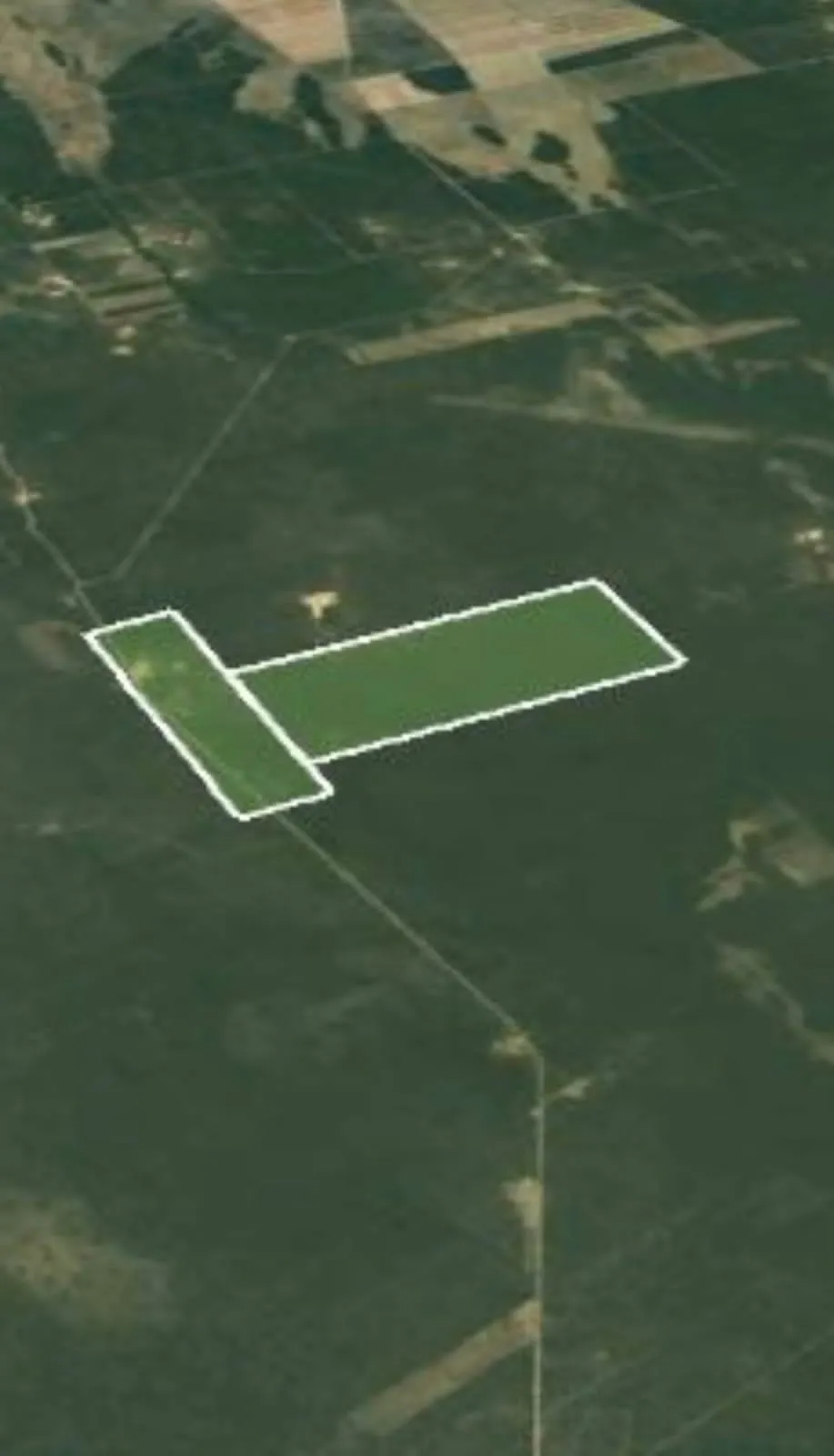 CAMPO EN VENTA - SANTIAGO DEL ESTERO - FERNANDEZ