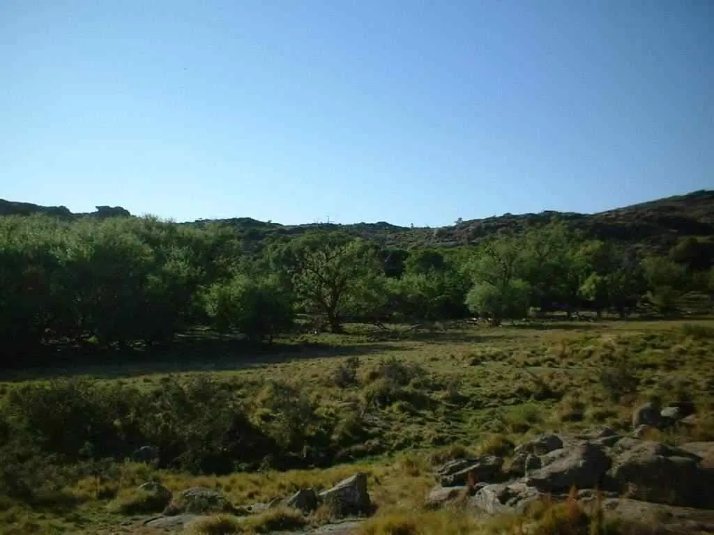 TERRENO EN VENTA - CHARACATO