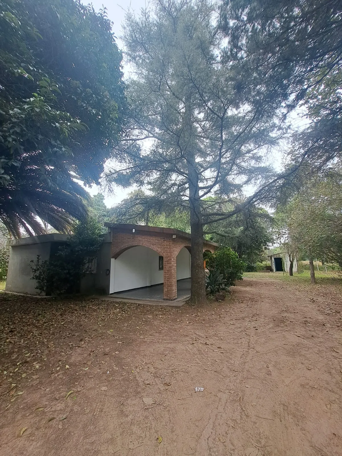 CASA QUINTA, A MTS COMPLEJO ESPERANZA A MTS,SESENTA CUADRAS,ZONA SUR