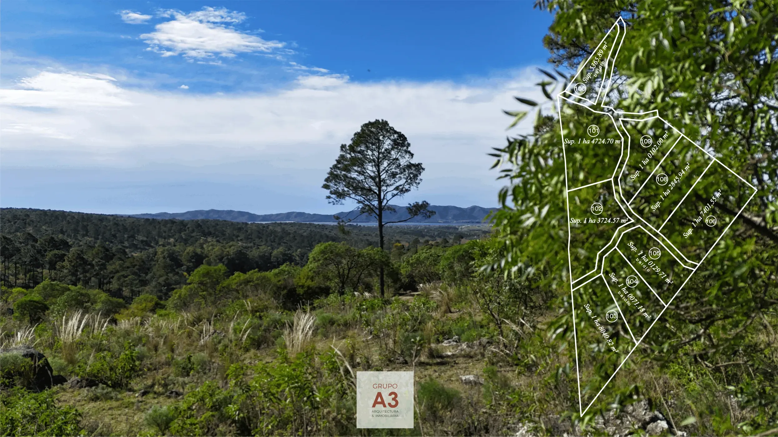 Fracciones de campo únicas en las sierras de Córdoba- Potrero de Garay-874