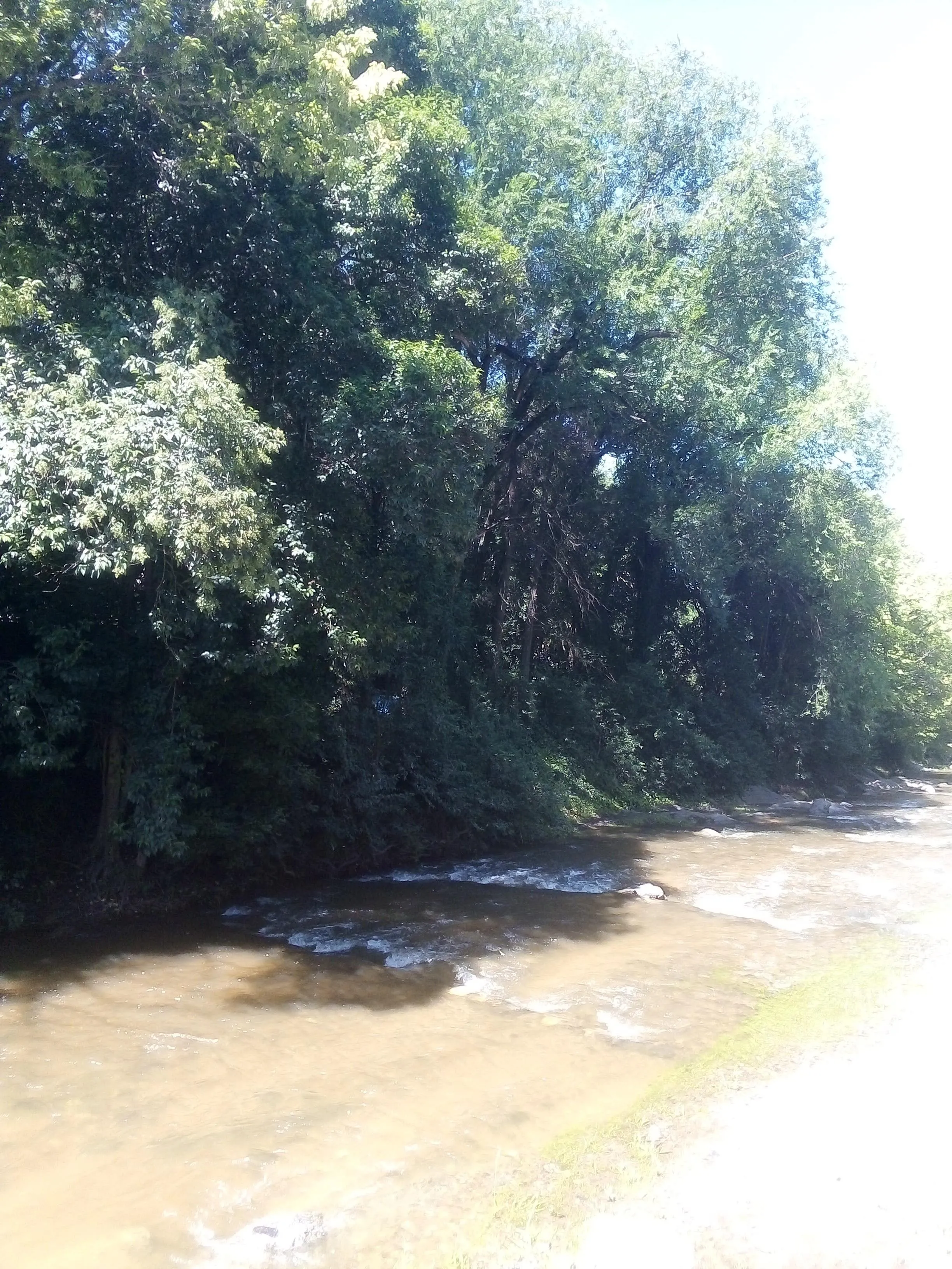 Villa Cerro Azúl terreno 700 mts