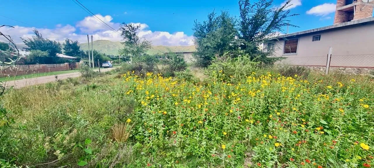 LOTE EN VENTA – Villa Giardino, Córdoba.