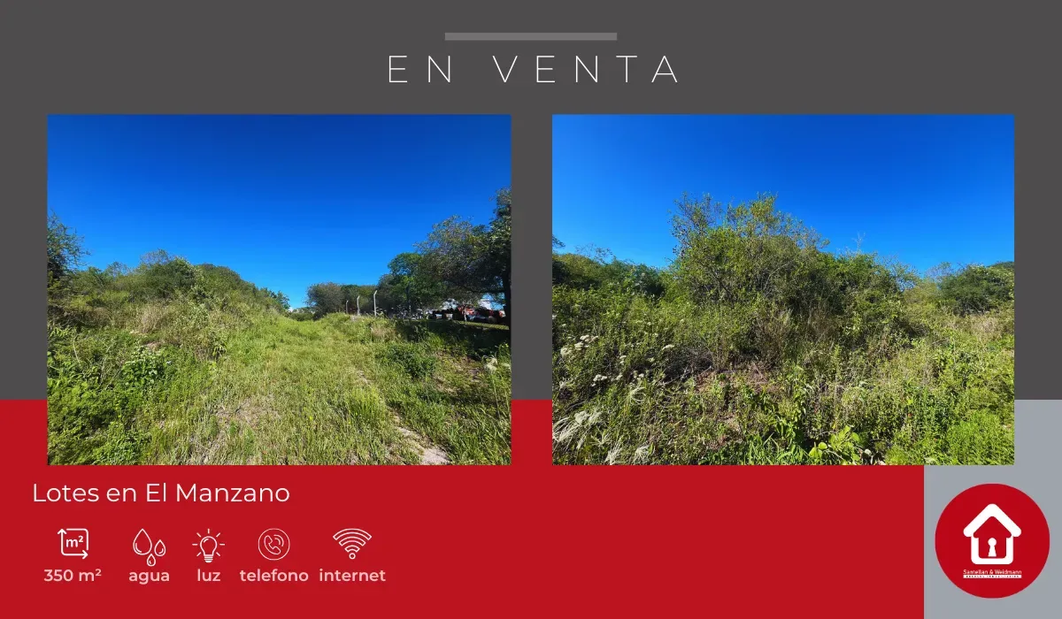 Lotes ubicados en El Manzano