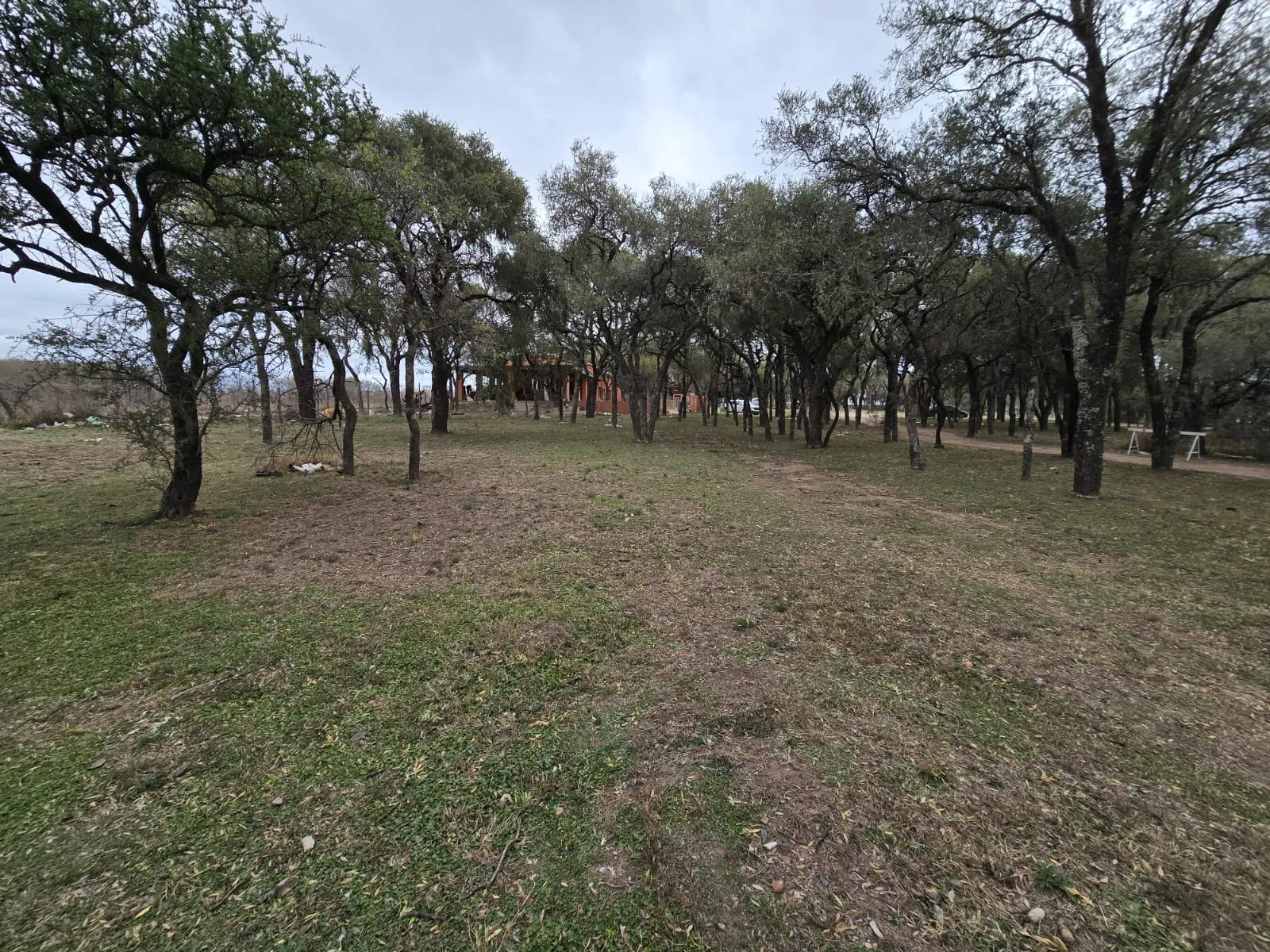 LOTE COUNTRY EN LAS SIERRAS