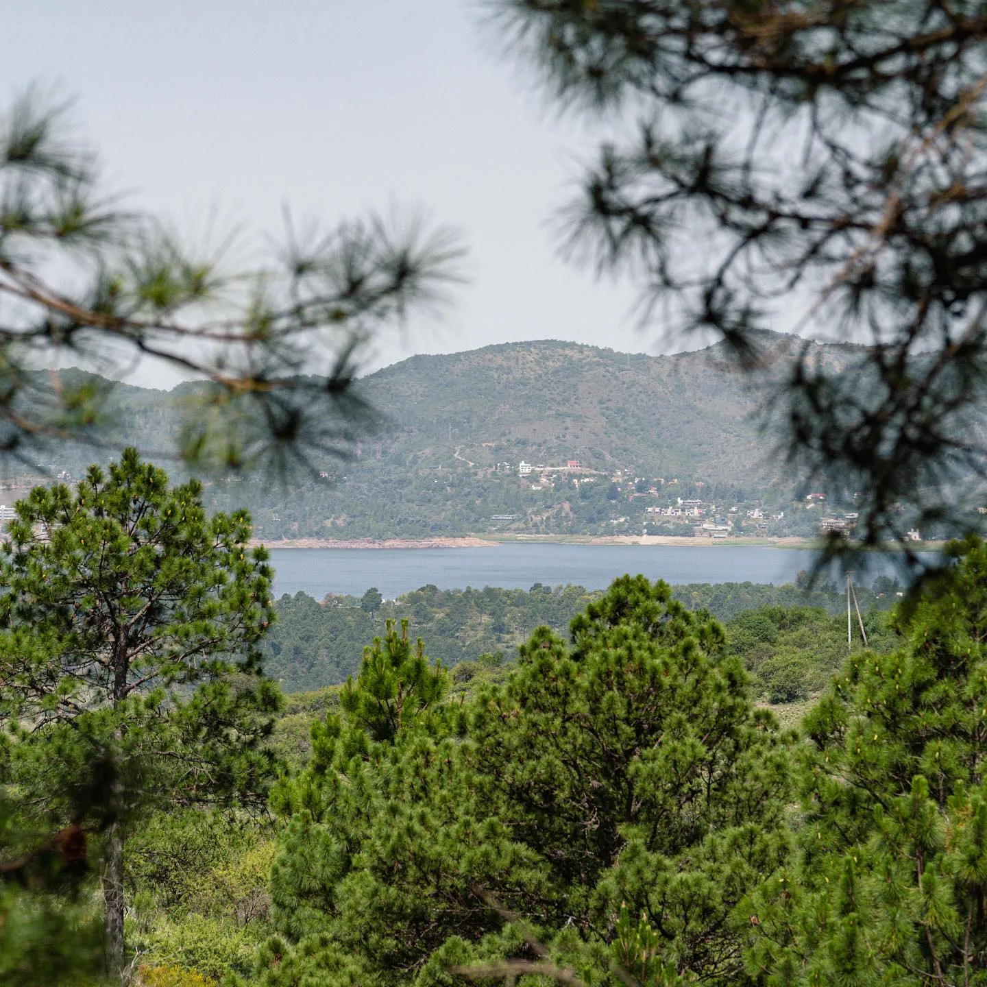 👉Dueño Oportunidad Real🏞️EL MEJOR LOTE 5.000m2 EXCLUSIVO❗ en Potrero de Garay