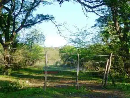 💚1 A 10 Hectáreas Oportunidad Única! De Inversion Alta Gracia UN VERDADERO OASIS✅