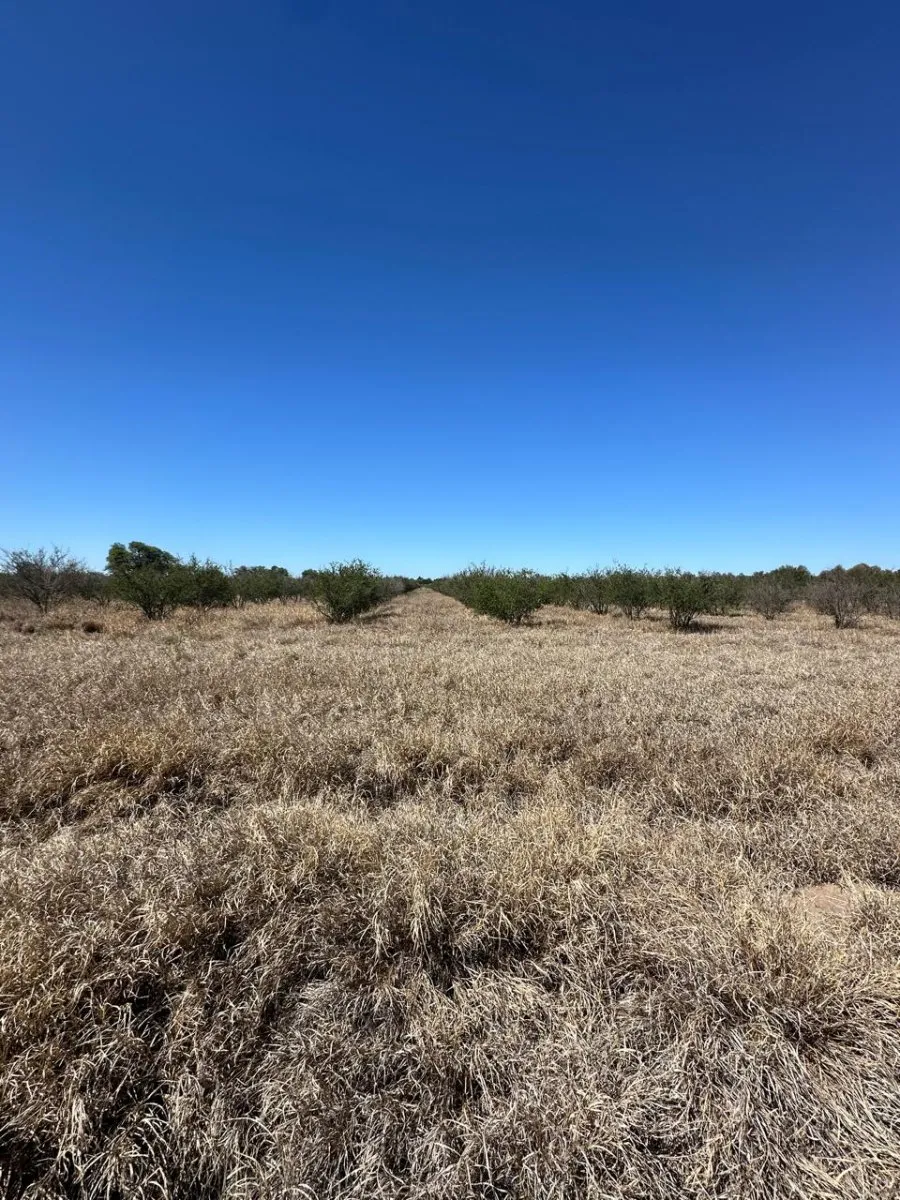Se vende campo agrícola con riego