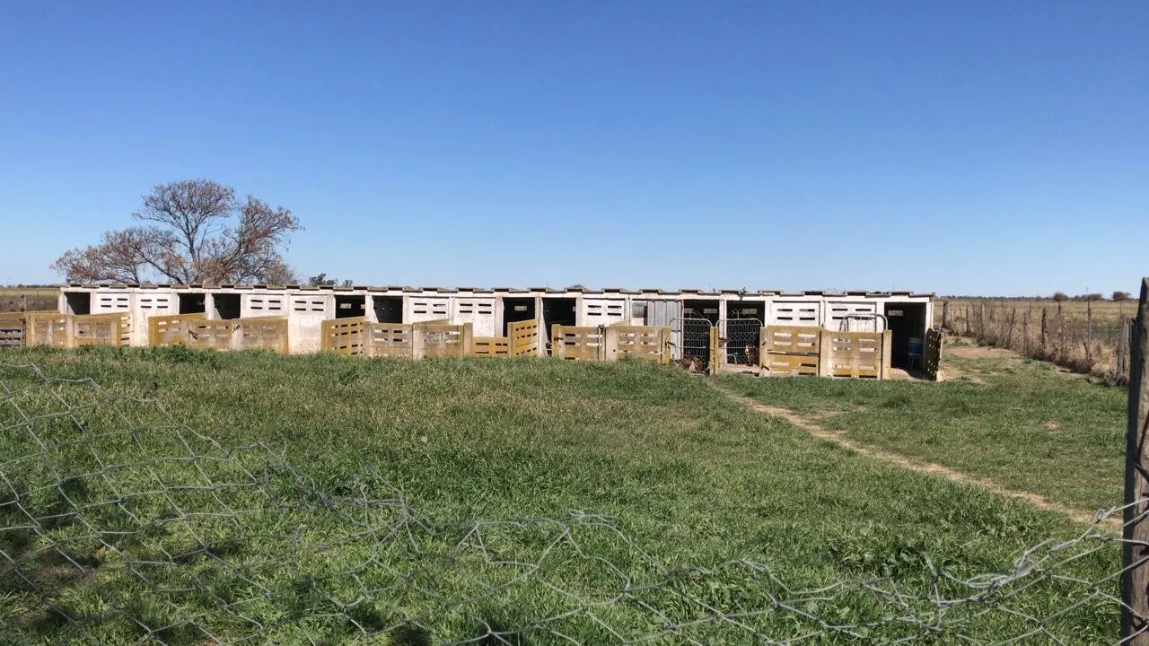 Venta de Campo mas inmueble 12 hectareas en Ballesteros sobre ruta nacional 1V09