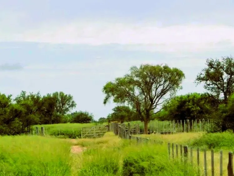 SAN FRANCISCO DEL CHAÑAR 4300 HA