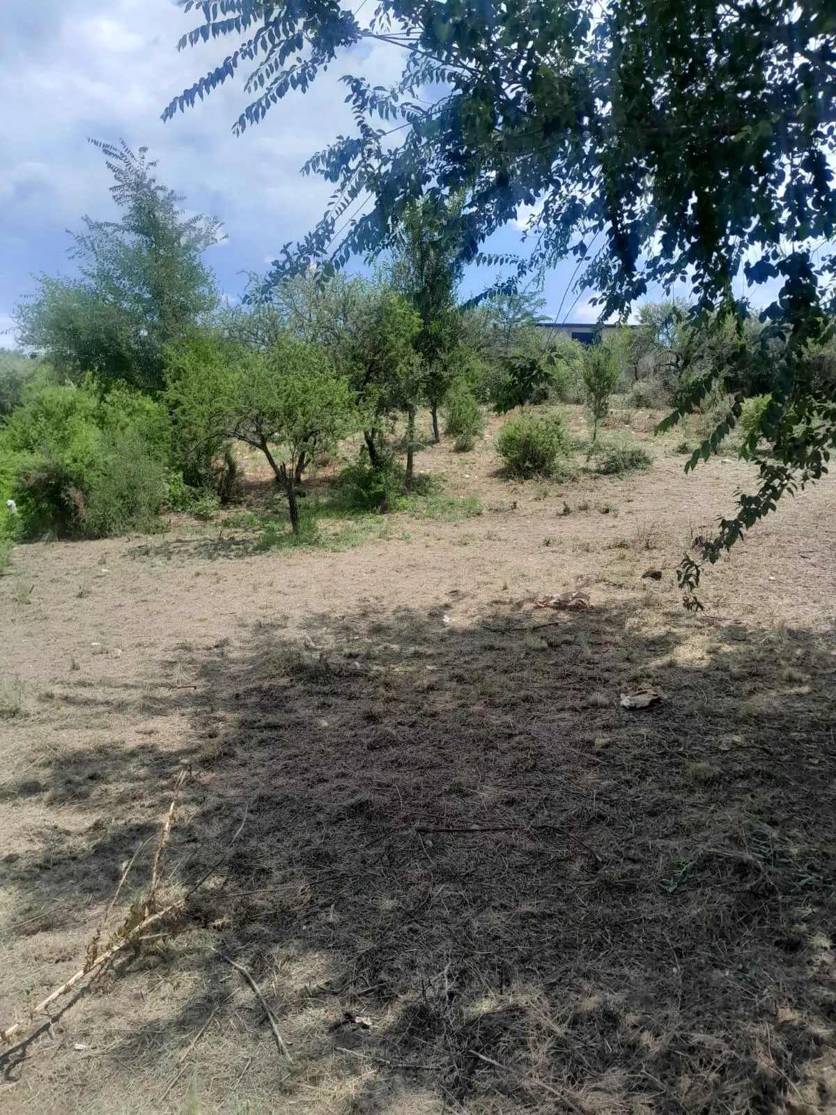 Vendo lote B Lomas del Mirador - Biallet Masse