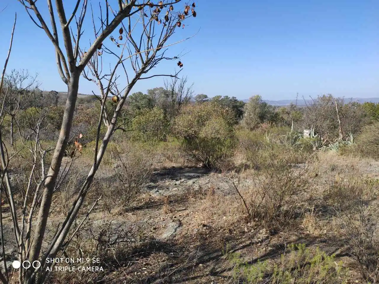 LOTE EN TANTI . IDEAL PARA CABAÑAS