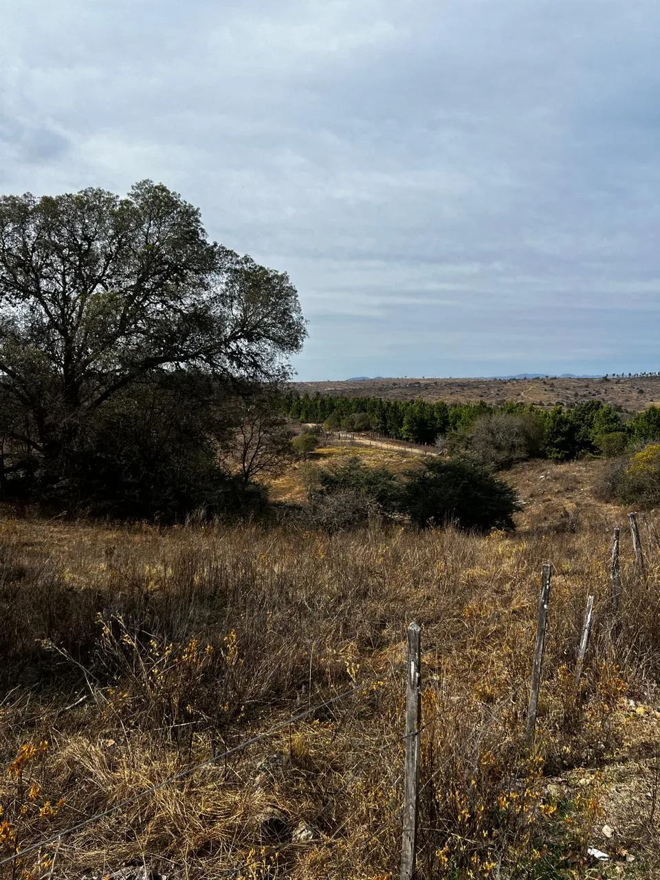 LOTE A LA VENTA EN SAN CLEMENTE