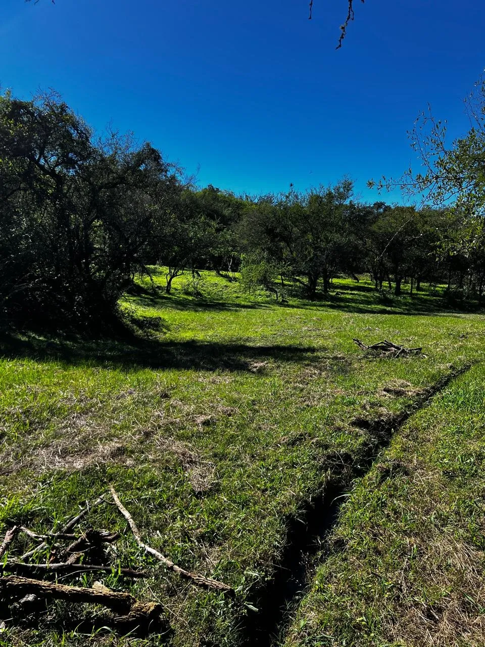 FRACCION DE OCHO HECTAREAS EN VENTA EN CABANA