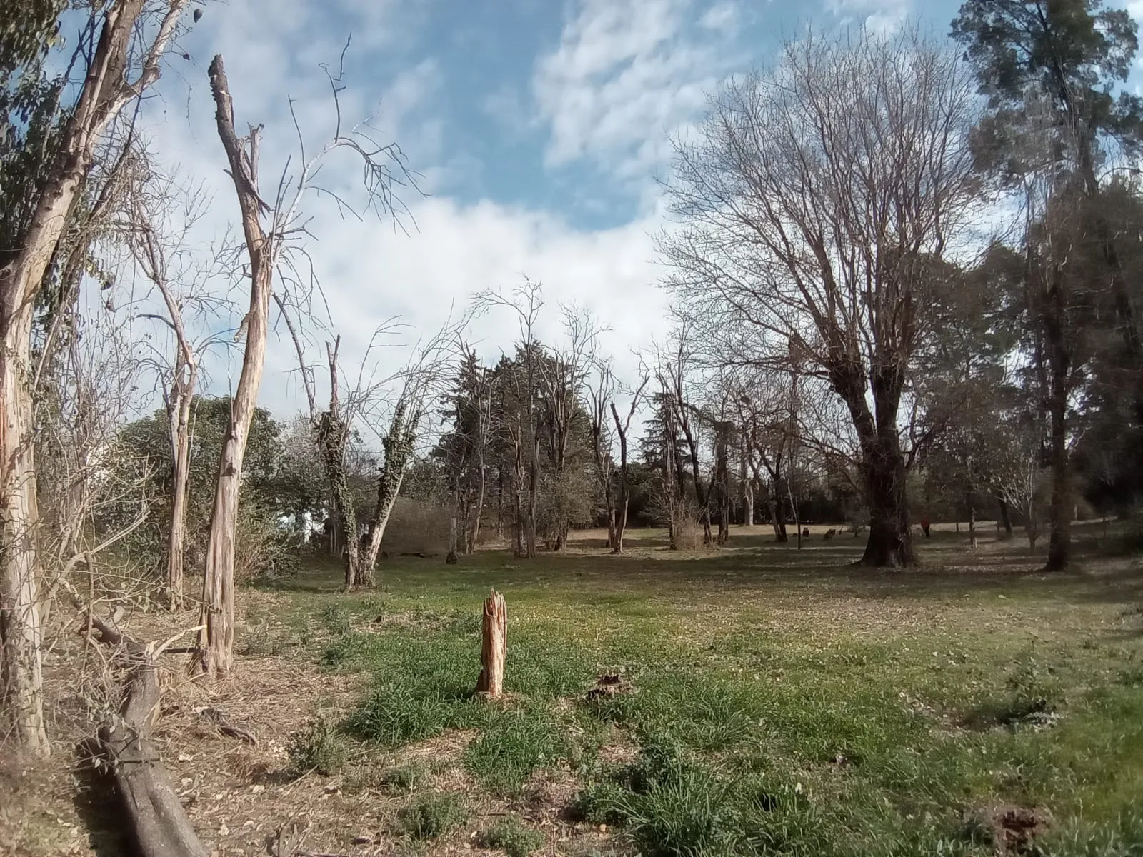 LOTE VILLA ALLENDE - 2.700 m2 - para NUEVE UNIDADES - LUZ, AGUA Y GAS NATURAL