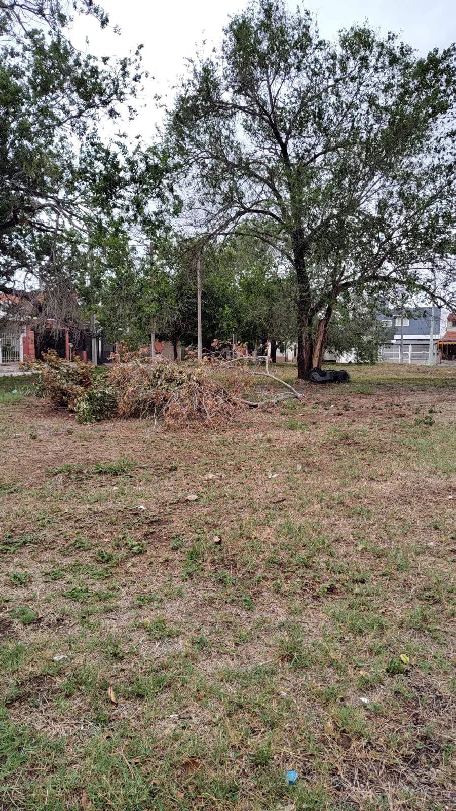Lotes en Venta Excelente Oportunidad de Inversión (Villa Adela, Villa Aspacia)