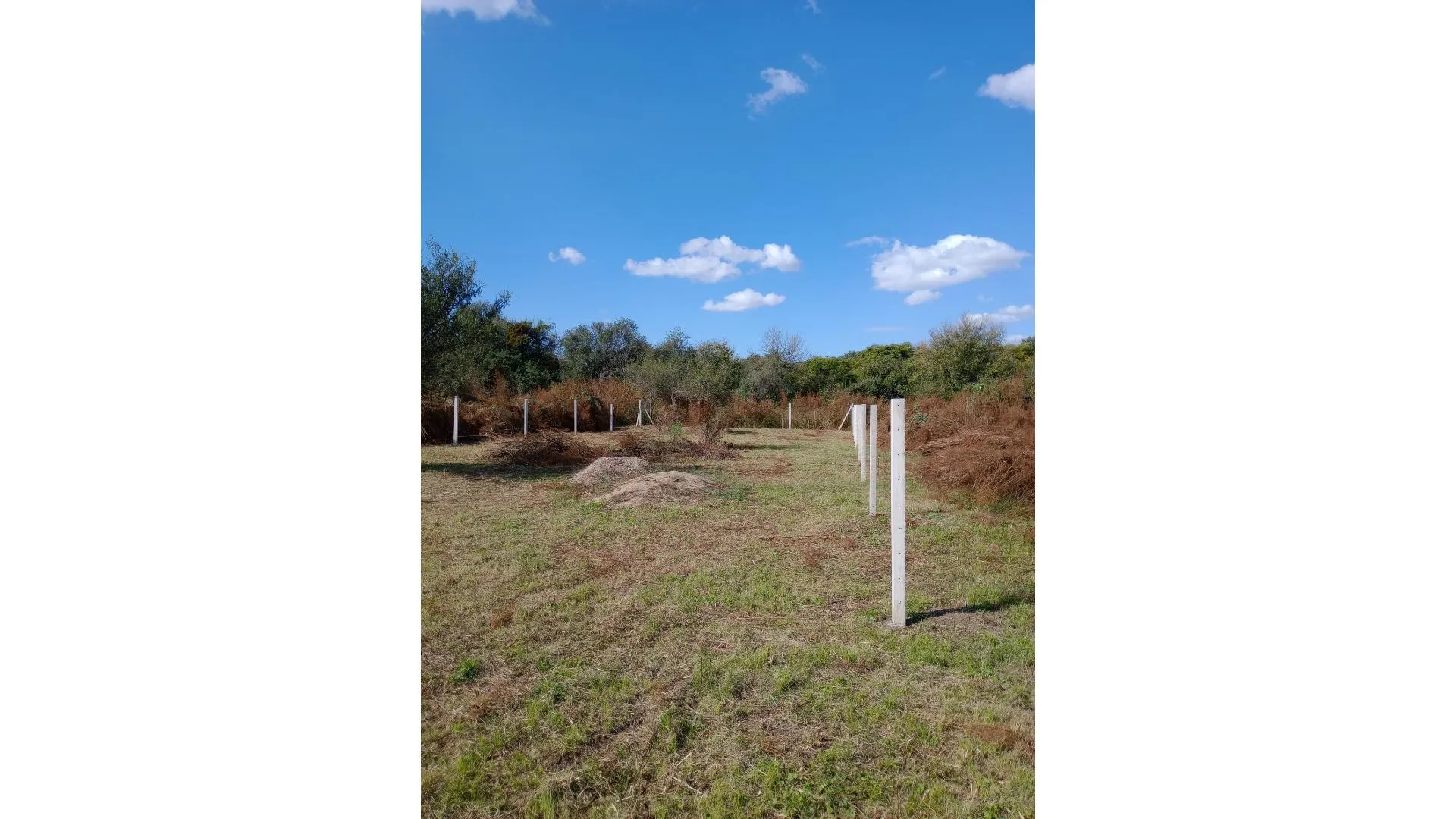 SE VENDE LOTE 581M2. EL MAS BARATO. ESCUCHA TODA OFERTA!