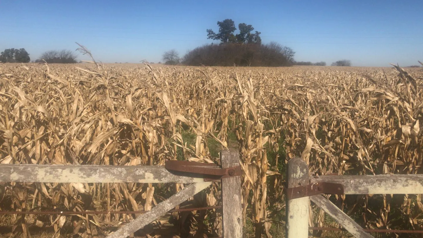 CAMPO de 27,2 hectareas en La Luisa - cerca Capital Sarmiento y Arrecifes