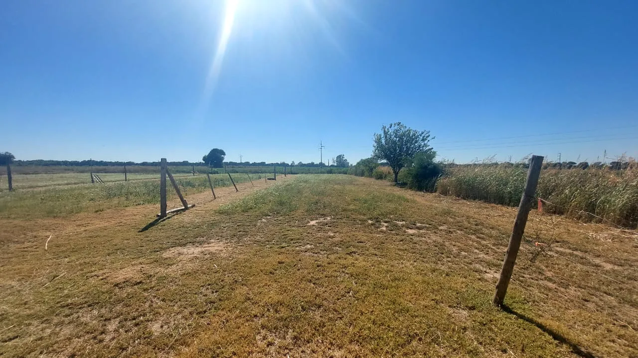 TERRENO EN VENTA EN VILLA ESQUIU, CÓRDOBA. TE122