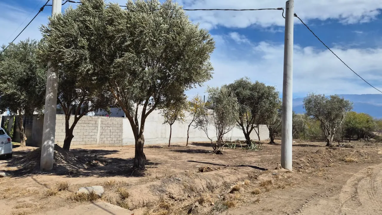 SUMALAO, CATAMARCA - LOTE EN VENTA - OPORTUNIDAD
