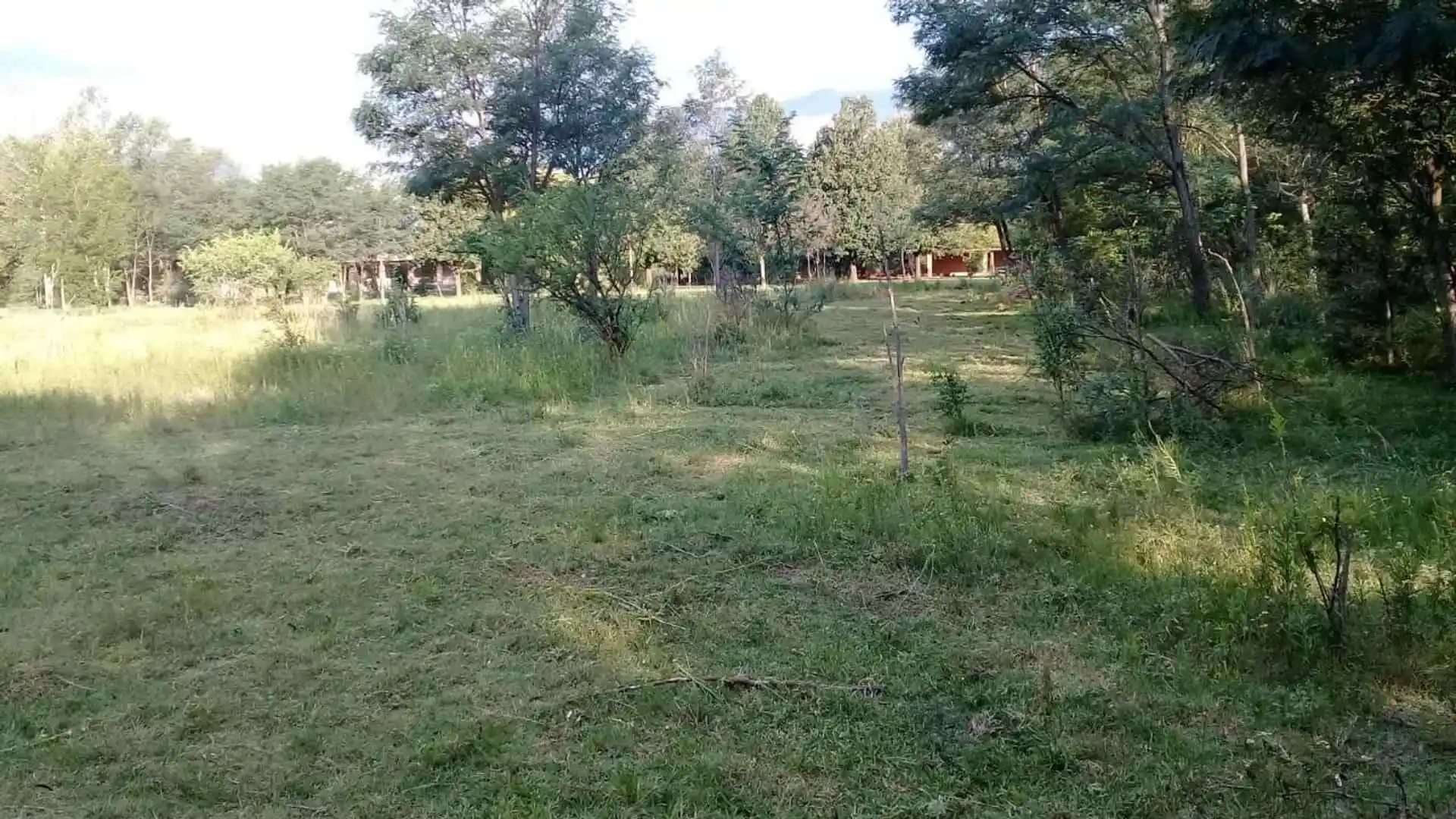 EXCELENTE HECTAREA EN LAS CALLES CON ESCRITURA