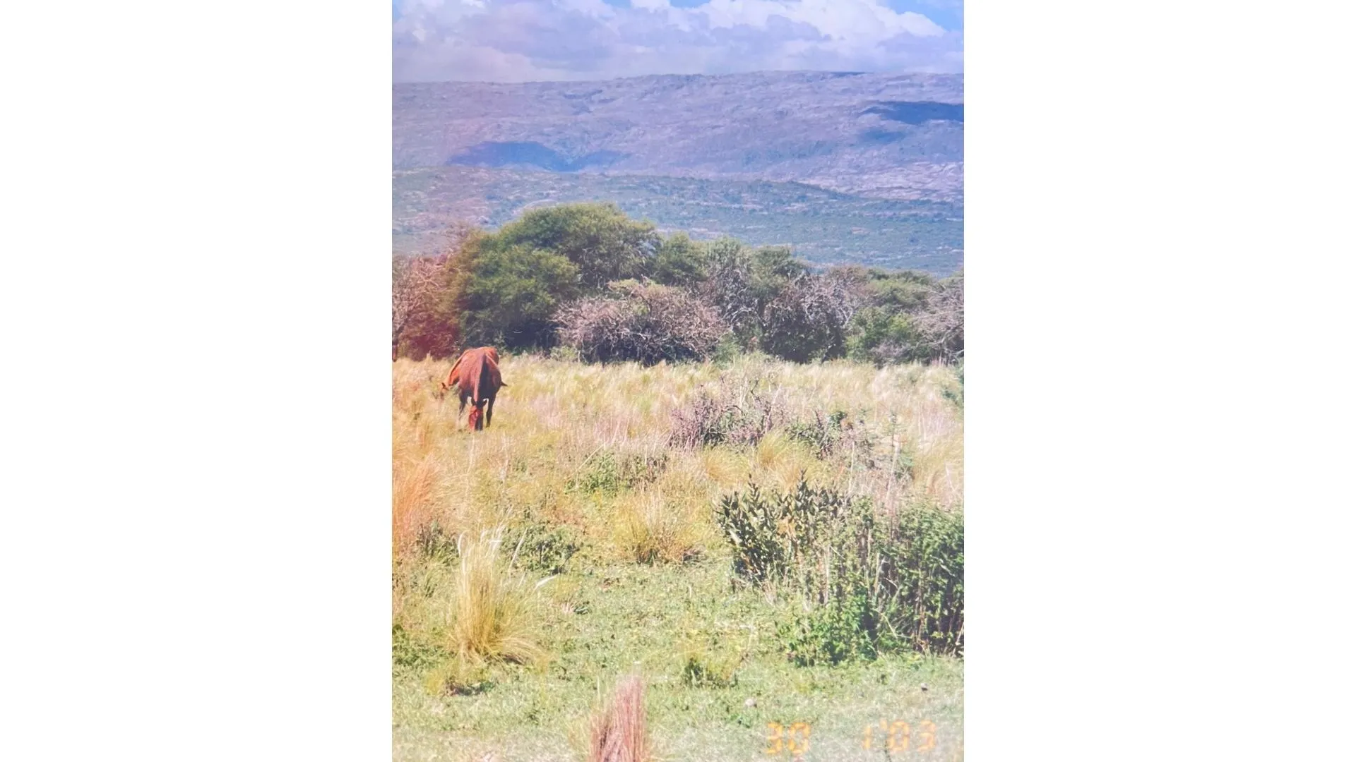 Hermoso campo en Villa Cura Brochero