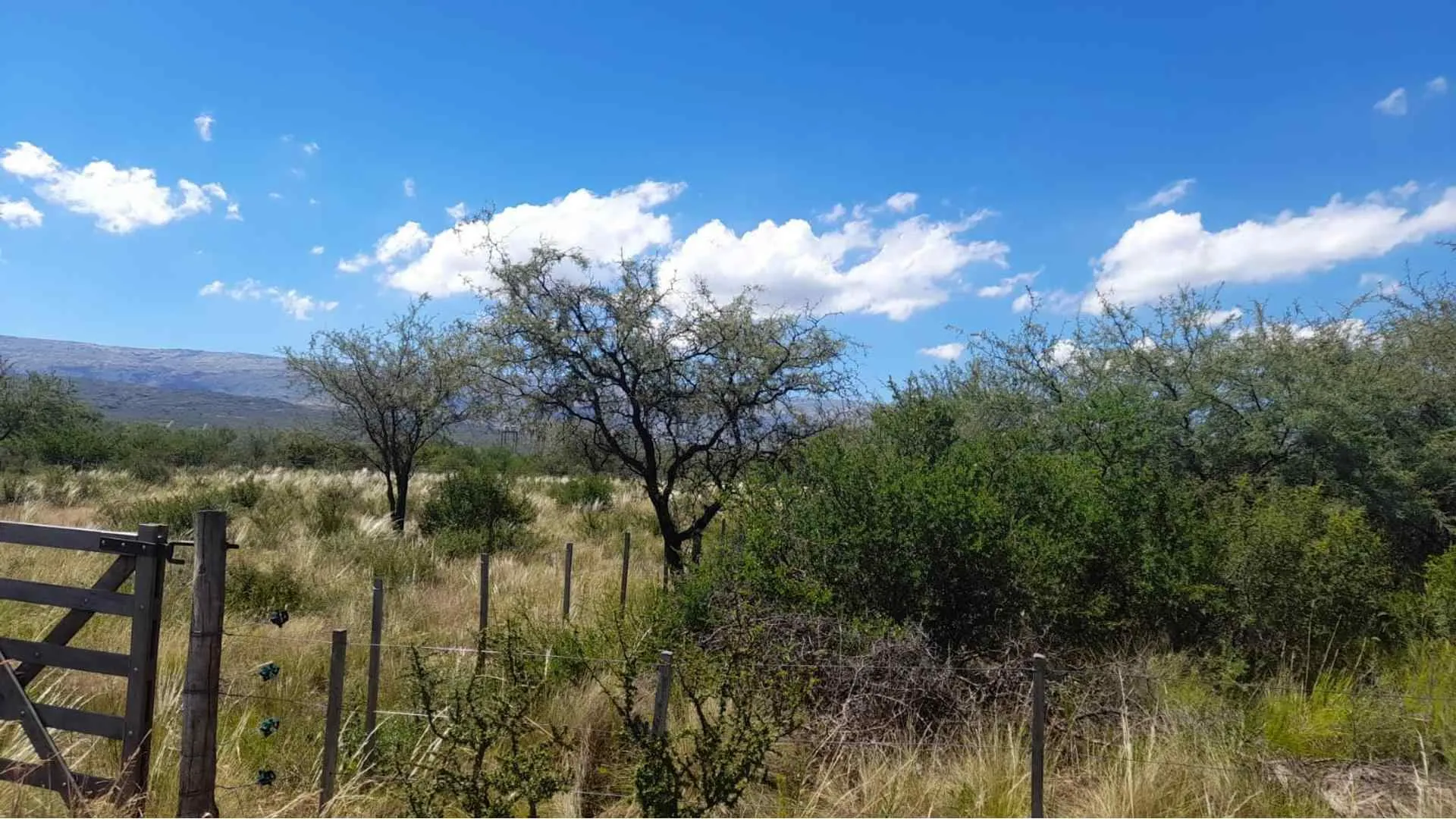 TERRENO EN LAS MARAVILLAS