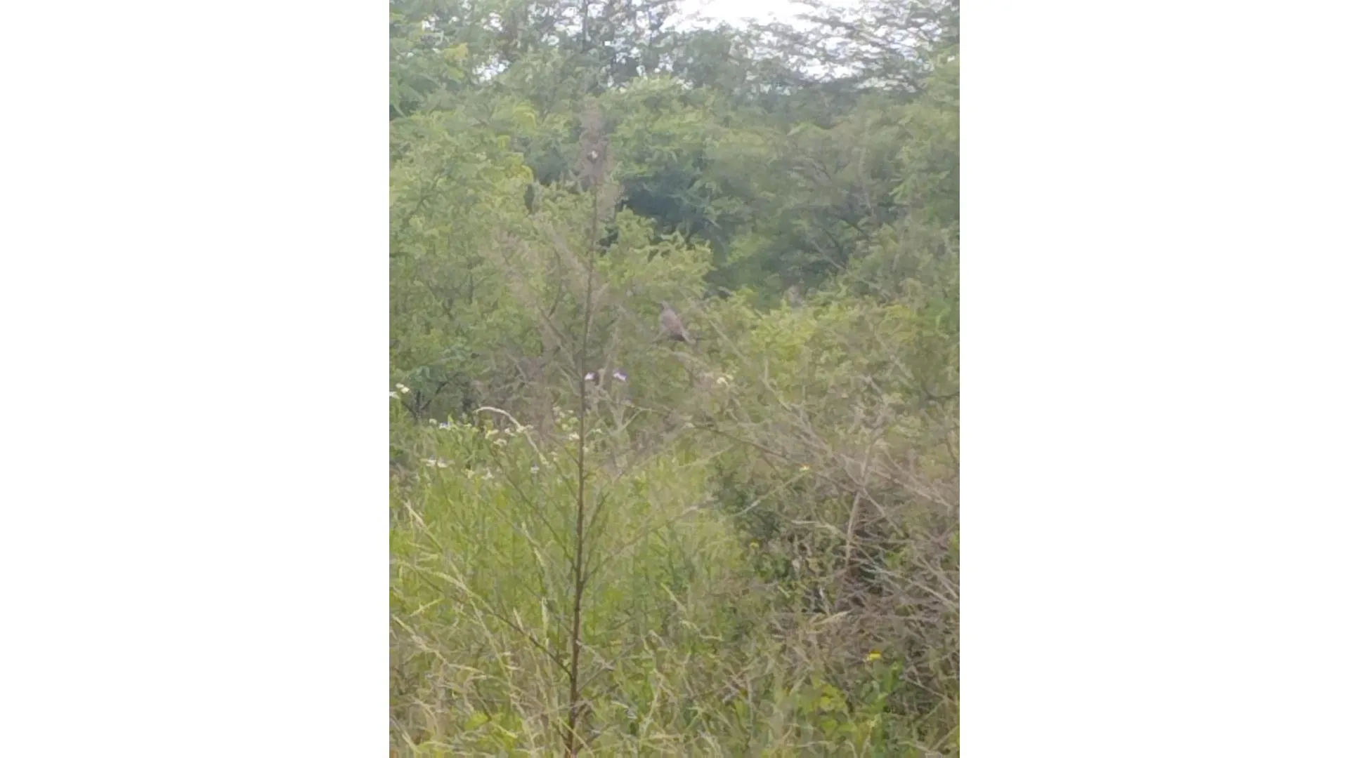 VENDO Gran Lote con Vista y Frente RP E 56  Villa San Isidro