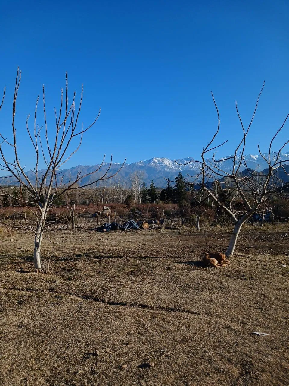 VENDO TERRENO CON ARROYO
